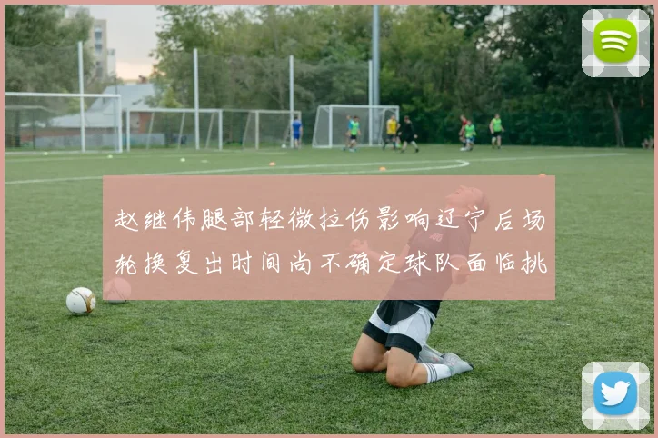 赵继伟腿部轻微拉伤影响辽宁后场轮换复出时间尚不确定球队面临挑战
